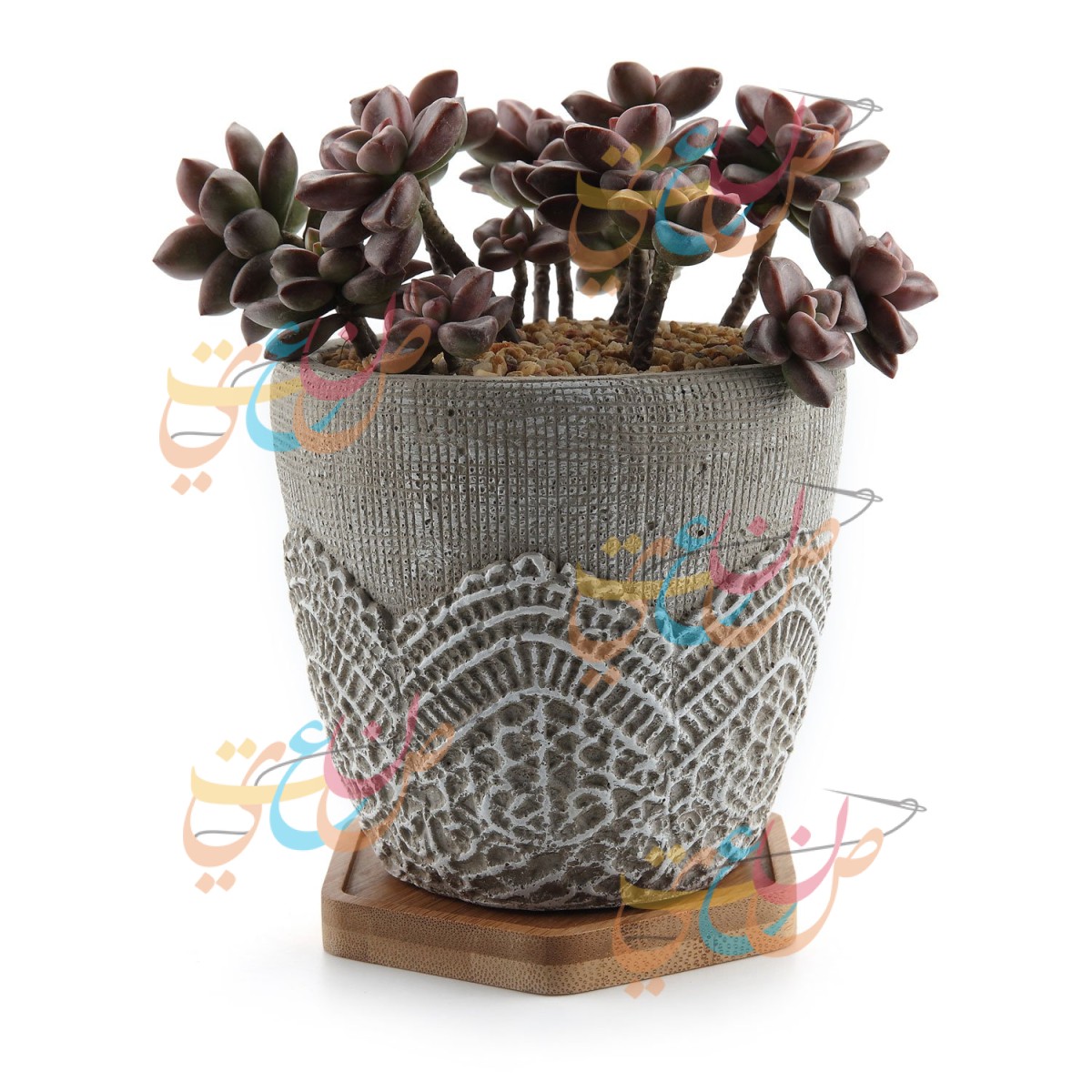 Cactus Plants Handmade decorated For Gifts