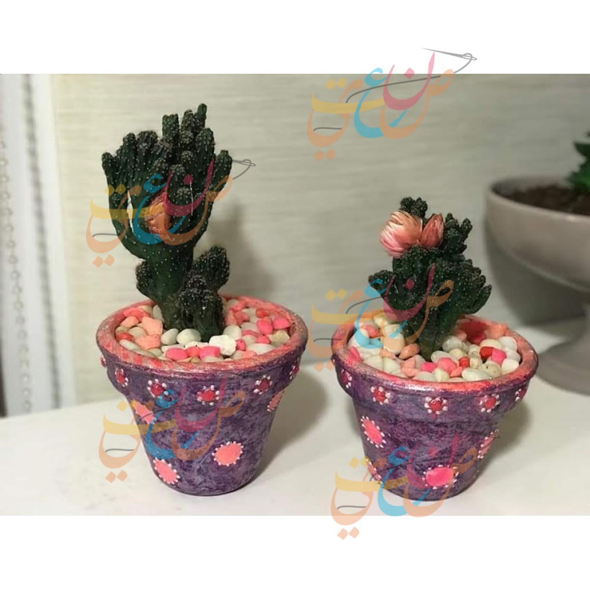 Decorative Cactus Plant inside Hand-painted Jug- Home Decor |Set of 2 Plants